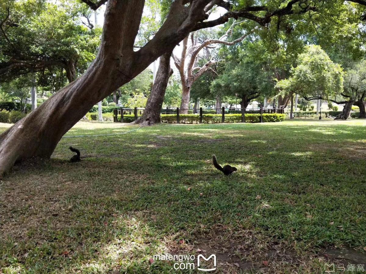 星霖之家 Apartment ไถจง ภายนอก รูปภาพ